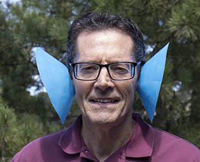 Playful use of disc cone-ears